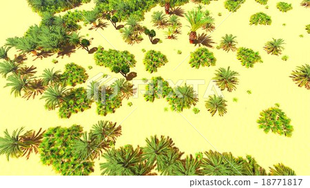 African oasis on Sahara 18771817