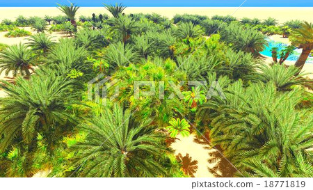African oasis on Sahara 18771819