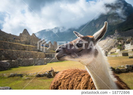 Machu Picchu, UNESCO World Heritage Site 18772806