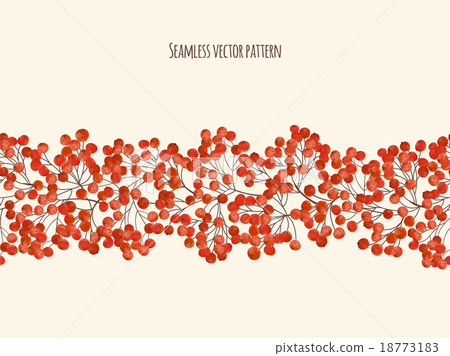 llustration  with  branches rowan berry 18773183