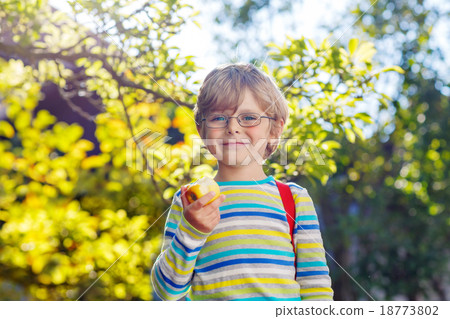 Little kid boy with apple on way to school Little kid boy with apple on way to school 18773802