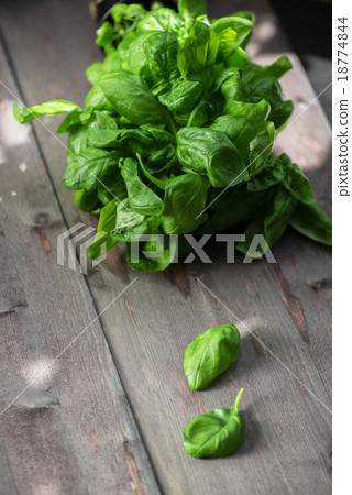 Fresh organic basil 18774844