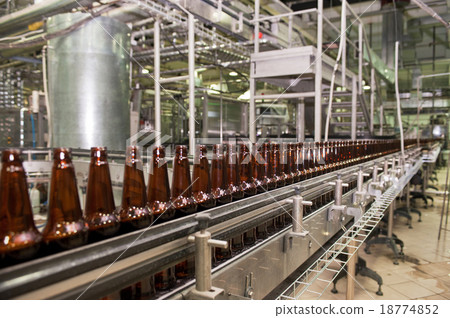 Beer bottles on the conveyor  18774852