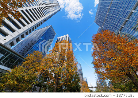 Autumn leaves Shinagawa Intercity and Shinagawa Grand Commons 18775183