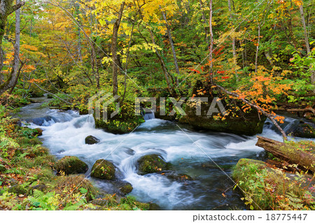 Autumn Oirase mountain stream 18775447