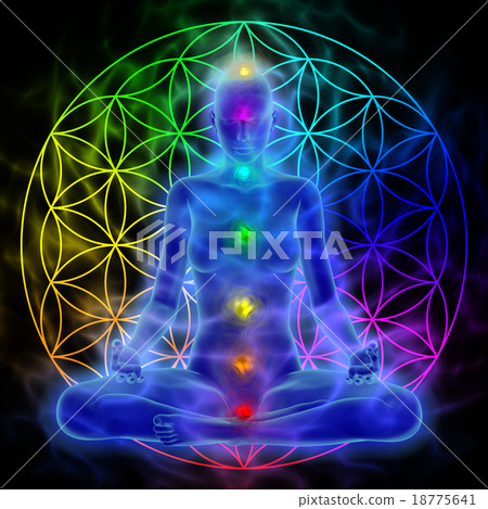 Meditation - flower of life Meditation - flower of life 18775641