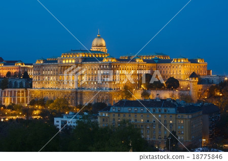 Castle of Buda 18775846