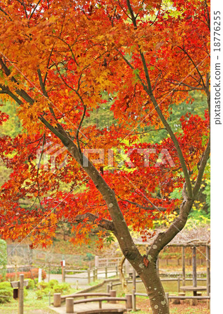 Nozan North·Rokkaido Park Nozan North·Rokkaido Park 18776255