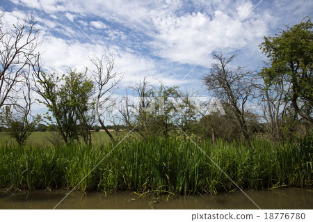 一條運河 18776780