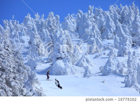 藏王滑雪勝地 18778102
