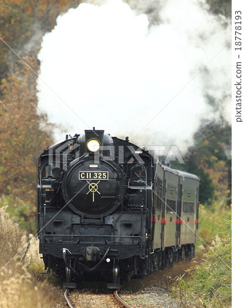 Autumnal leaves Moka railway SL 18778193