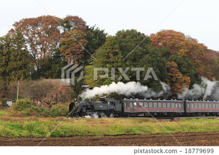 Autumnal leaves Moka railway SL Autumnal leaves Moka railway SL 18779699