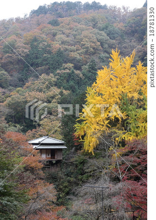 A path of Ashikaga's mountain killer Ekidenji 18781330