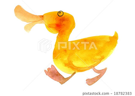duck	 18782383