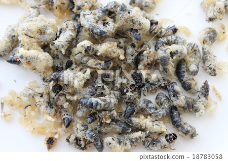 炸雞胸肉 炸雞胸肉 18783058