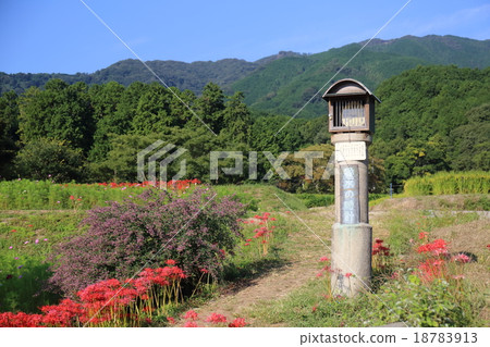 奈良Katsuragi城堡水的水印 18783913