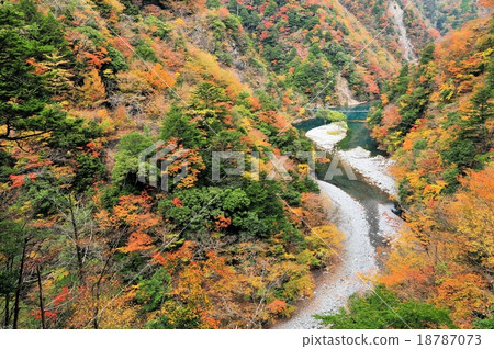 酒窩峽谷的秋葉 18787073