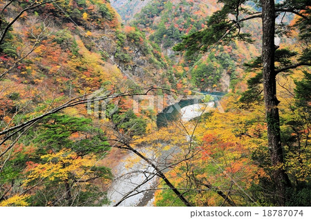 酒窩峽谷的秋葉 18787074