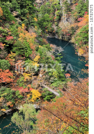 酒窩峽谷的秋葉 酒窩峽谷的秋葉 18787075
