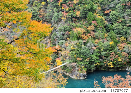 The autumn leaves of the dimple gorge The autumn leaves of the dimple gorge 18787077