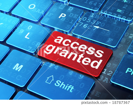 Safety concept: Access Granted on computer Safety concept: Access Granted on computer 18787367