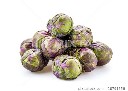 Violet sprouts Violet sprouts 18791356