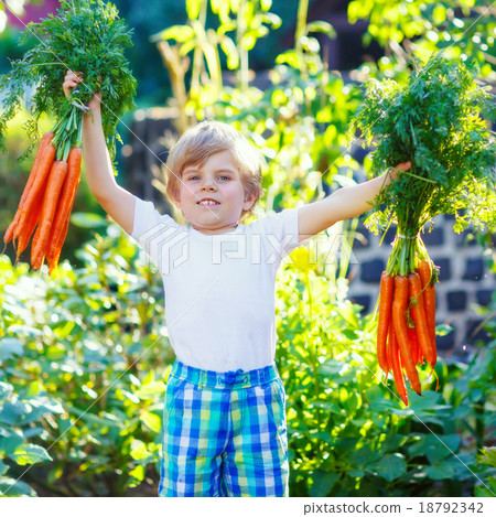 Funny little kid boy with carrots in domestic 18792342