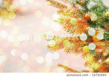 Fir branch in hoarfrost 18792669