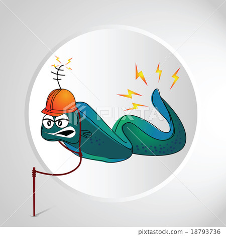 electric eel 18793736