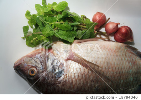 Nile tilapia fishes 18794040