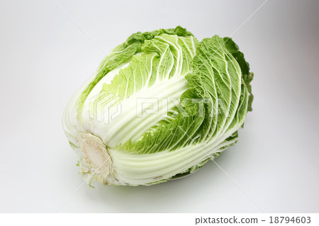 被偷的大白菜 被偷的大白菜 18794603