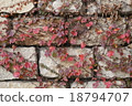 Autumn leaves 18794707