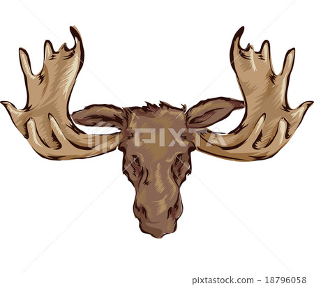 Moose Head - Stock Illustration [18796058] - PIXTA