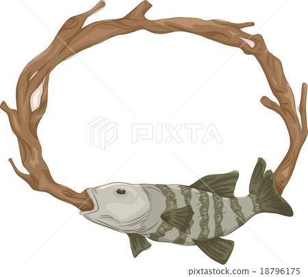 Frame Taxidermy Fish Mount 18796175