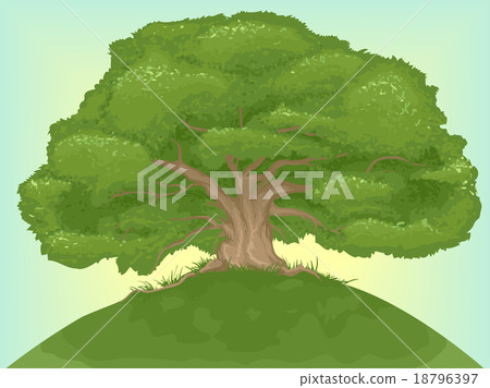 Giant Tree Giant Tree 18796397