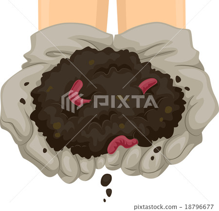 Vermicast Soil Hands 18796677