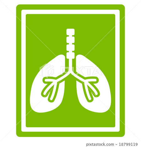 Lungs X-Ray Photo Icon Lungs X-Ray Photo Icon 18799119