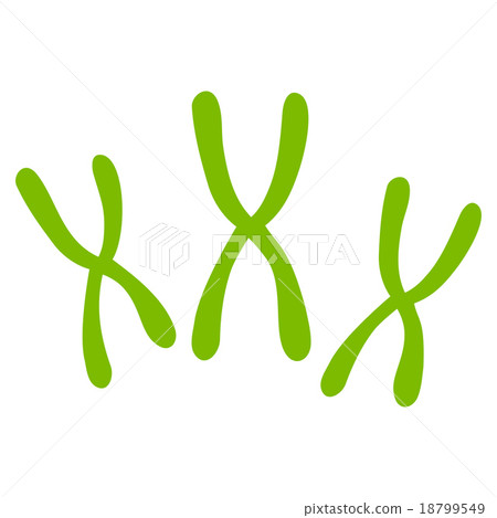 Chromosomes Icon Chromosomes Icon 18799549