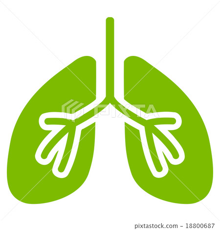 Lungs Icon Lungs Icon 18800687