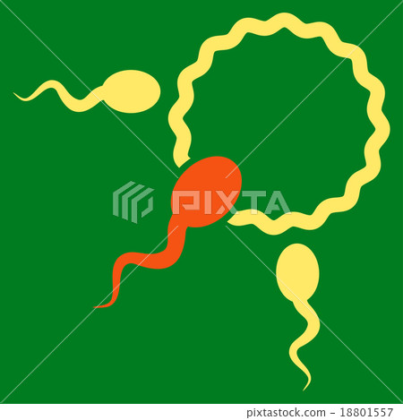 Fertilization Icon Fertilization Icon 18801557