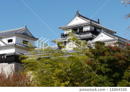 Iyo松山城堡在秋天 18804580