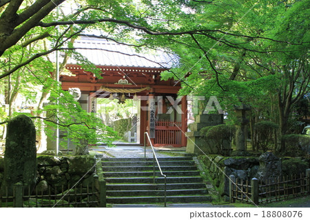 釜山寺的大門 18808076