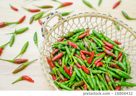 green chili pepper green chili pepper 18808432
