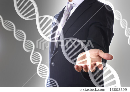 基因 DNA 基因組 18808899