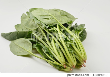 spinach  18809080