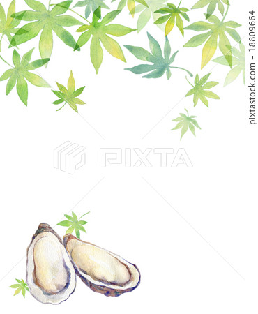 牡蠣和楓樹 牡蠣和楓樹 18809664