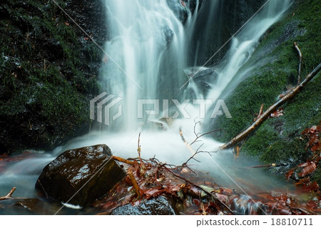 Water is falling over boulder on broken branches 18810711