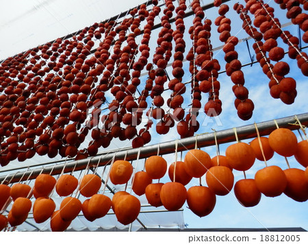 Hanging persimmon 18812005