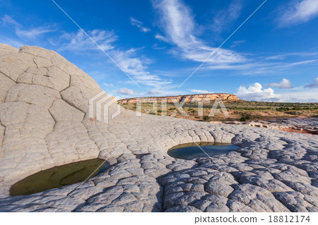 White pocket 18812174