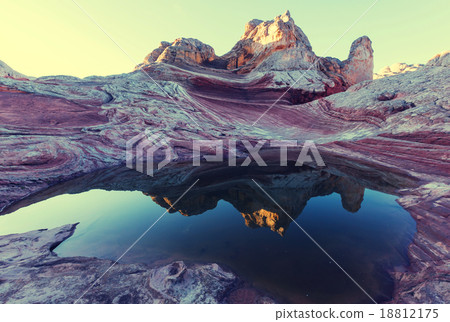 White pocket 18812175